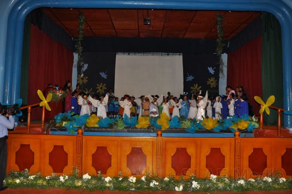 Blooming Buds 2011