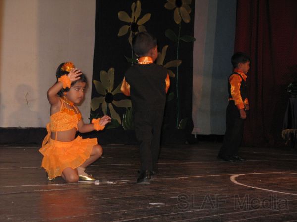 Blooming Buds 2011