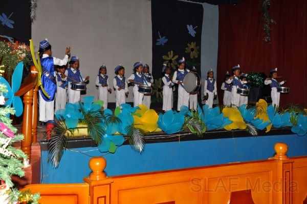 Blooming Buds 2011