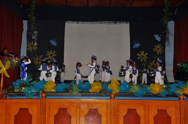 Blooming Buds 2011