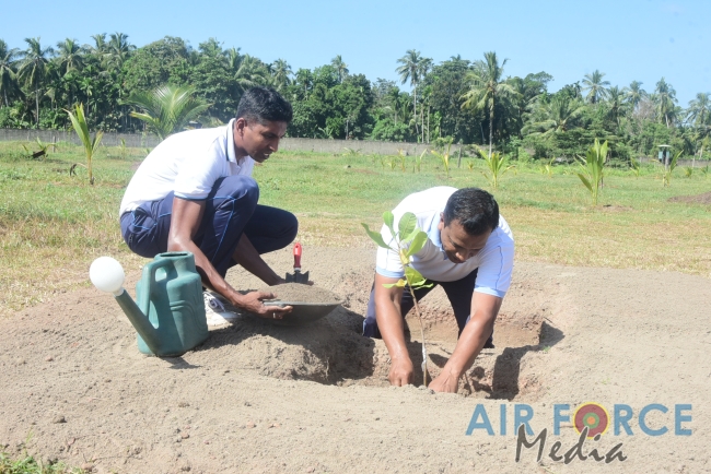 Commander Participates for Cashew Tree Planting Programme at Katunayake