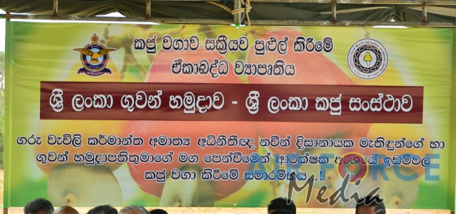 Cashew tree Planting Programme