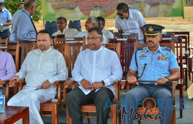 Cashew tree Planting Programme