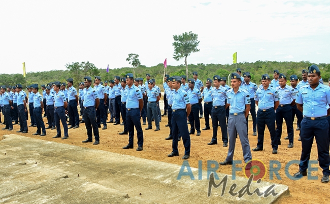 Cashew tree Planting Programme