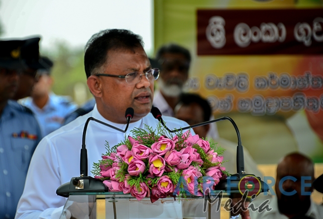 Cashew tree Planting Programme
