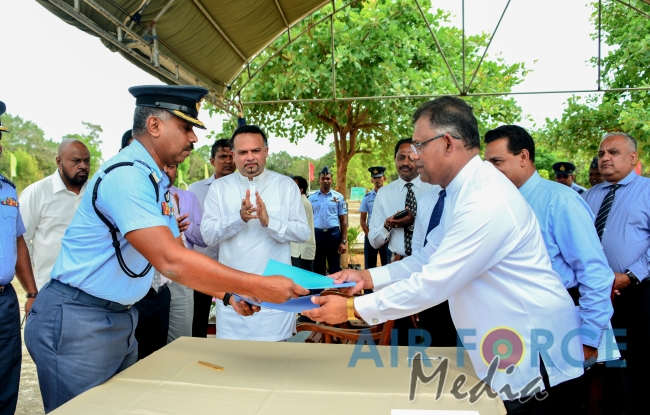 Cashew tree Planting Programme