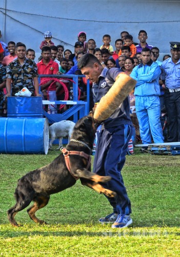 Children's Party SLAF Colombo