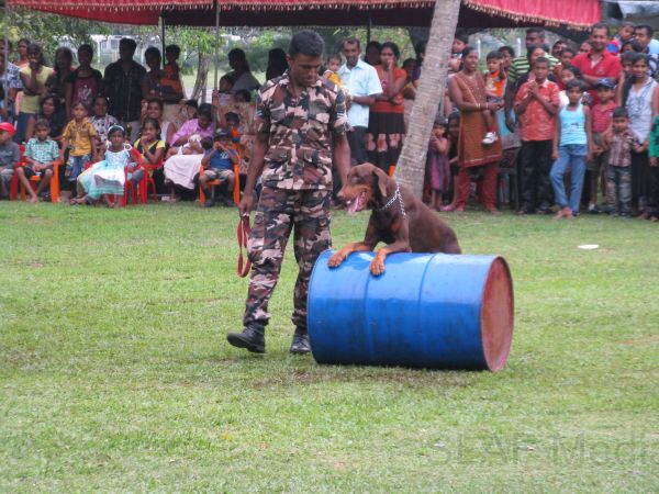 The Children’s Party and Annual Get Together of SLAF Unit Koggala
