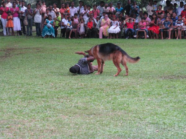 The Children’s Party and Annual Get Together of SLAF Unit Koggala