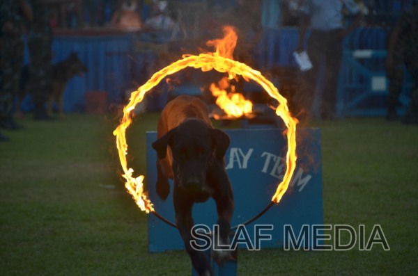 CHILDREN'S PARTY SLAF COLOMBO