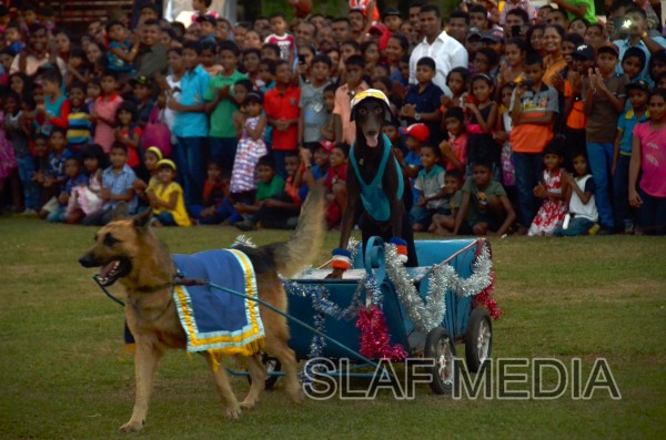 CHILDREN'S PARTY SLAF COLOMBO