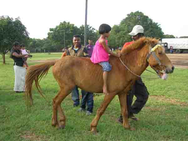 A Day Of Fun And Games For Children