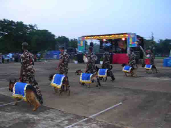 A Day Of Fun And Games For Children