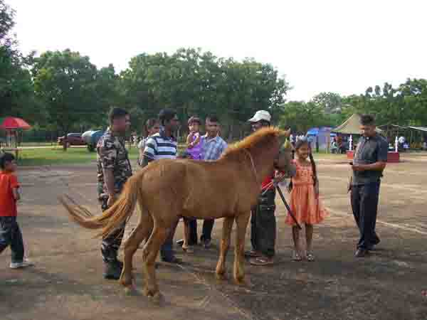A Day Of Fun And Games For Children