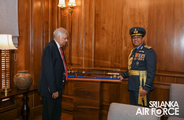 COMMANDER OF THE AIR FORCE CALLS ON THE PRESIDENT