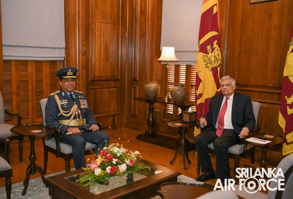 COMMANDER OF THE AIR FORCE CALLS ON THE PRESIDENT