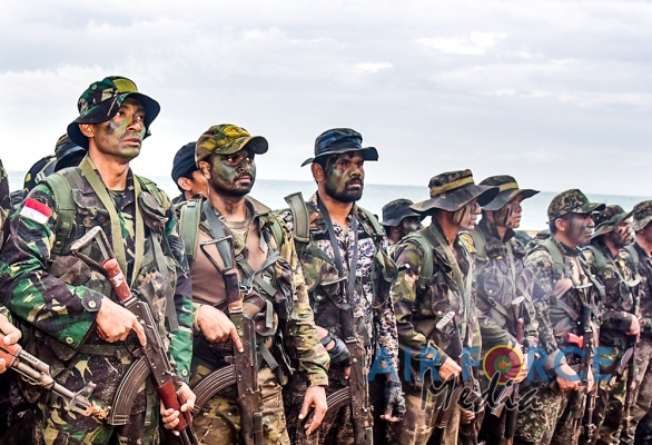 Final Phase named “Critical Engagement” of the Joint Exercise, Cormorant Strike - 2019