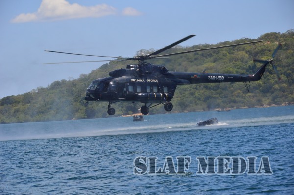 Cormorant Strike 2015