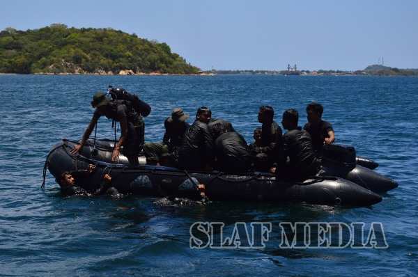 Cormorant Strike 2015