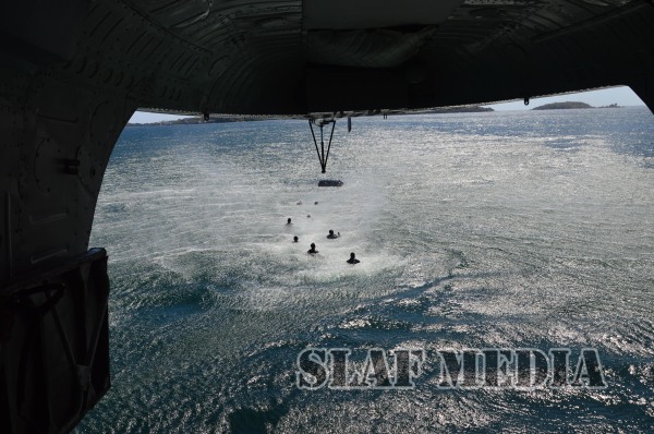 Cormorant Strike 2015