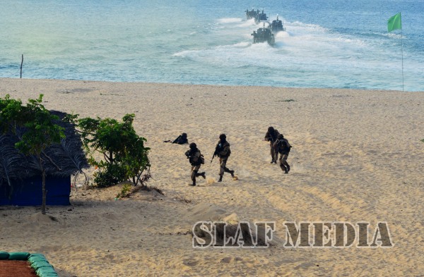 Final Demonstration Exercise-Cormorant Strike 2015