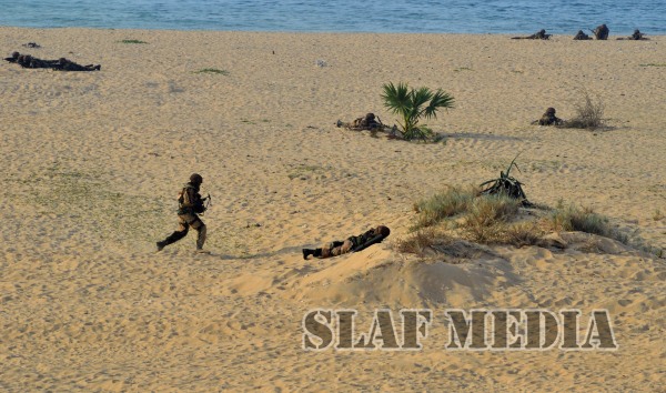 Final Demonstration Exercise-Cormorant Strike 2015