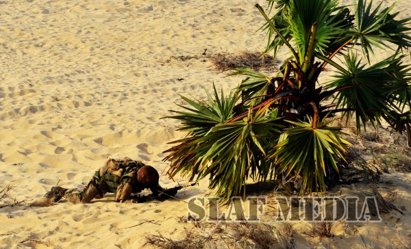 Final Demonstration Exercise-Cormorant Strike 2015