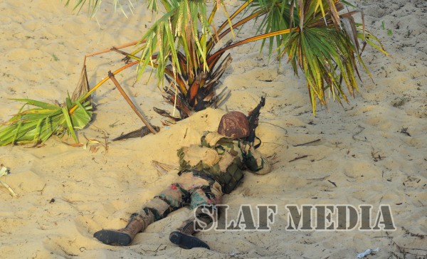 Final Demonstration Exercise-Cormorant Strike 2015