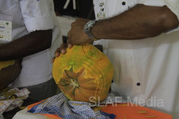 SLAF Excel at Culinary Arts Exhibition 2013