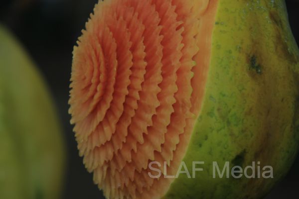 SLAF Excel at Culinary Arts Exhibition 2013