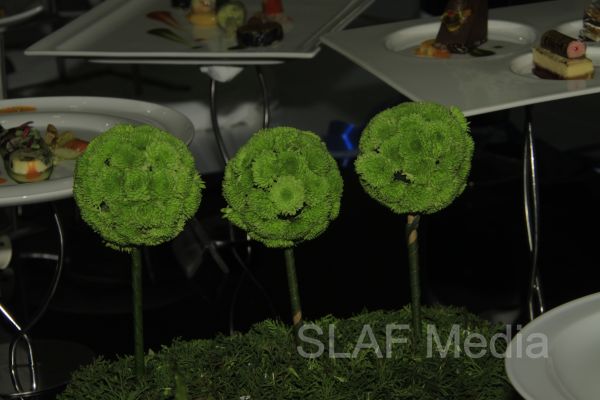 SLAF Excel at Culinary Arts Exhibition 2013