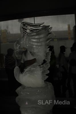 SLAF Excel at Culinary Arts Exhibition 2013