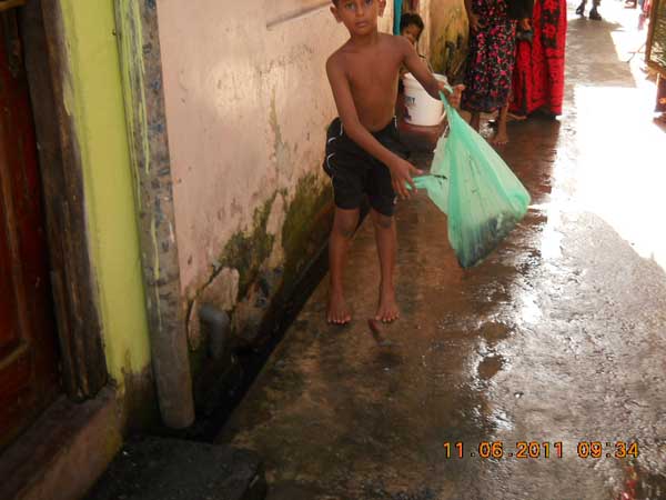 War Against Mosquitoes