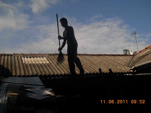 War Against Mosquitoes
