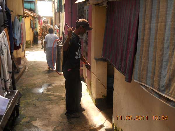 War Against Mosquitoes