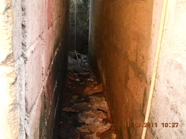 War Against Mosquitoes