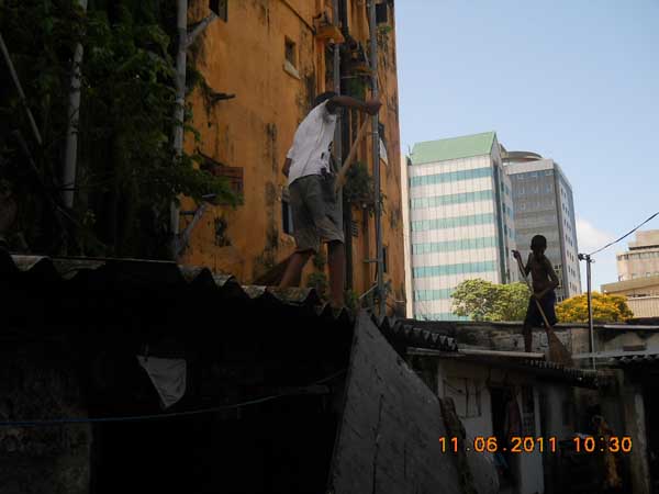 War Against Mosquitoes