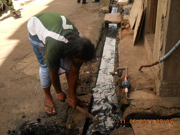 War Against Mosquitoes