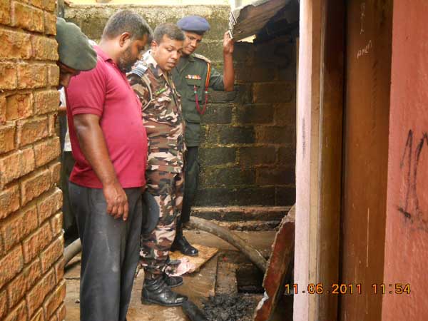 War Against Mosquitoes
