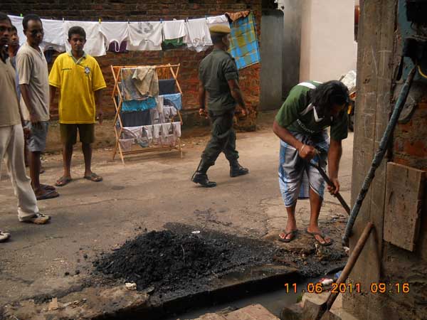 War Against Mosquitoes