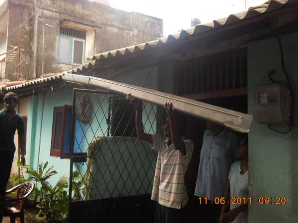 War Against Mosquitoes