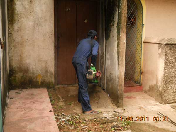 War Against Mosquitoes