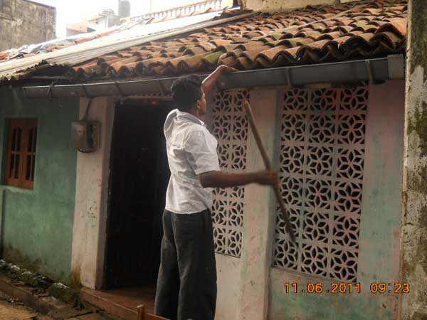 War Against Mosquitoes