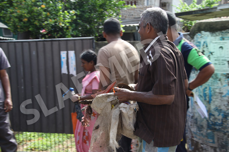 Dengue Prevention Campaign In Slave Island