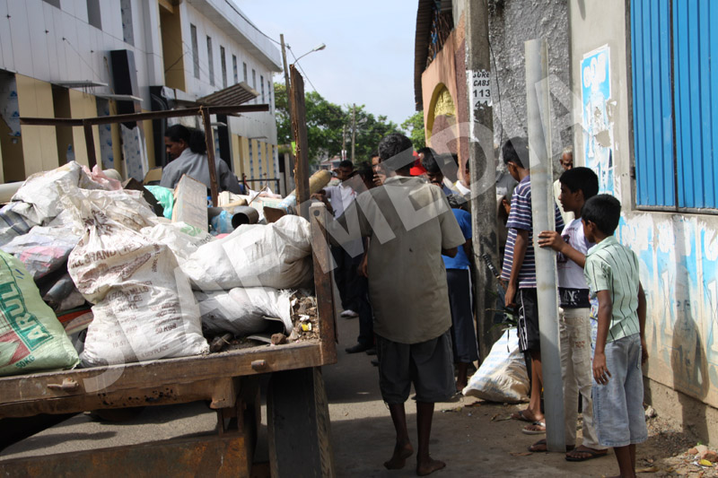 Dengue Prevention Campaign In Slave Island