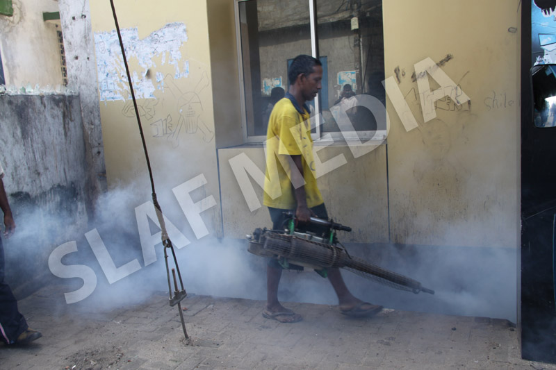 Dengue Prevention Campaign In Slave Island