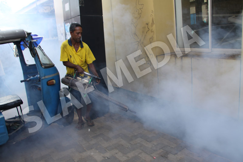 Dengue Prevention Campaign In Slave Island