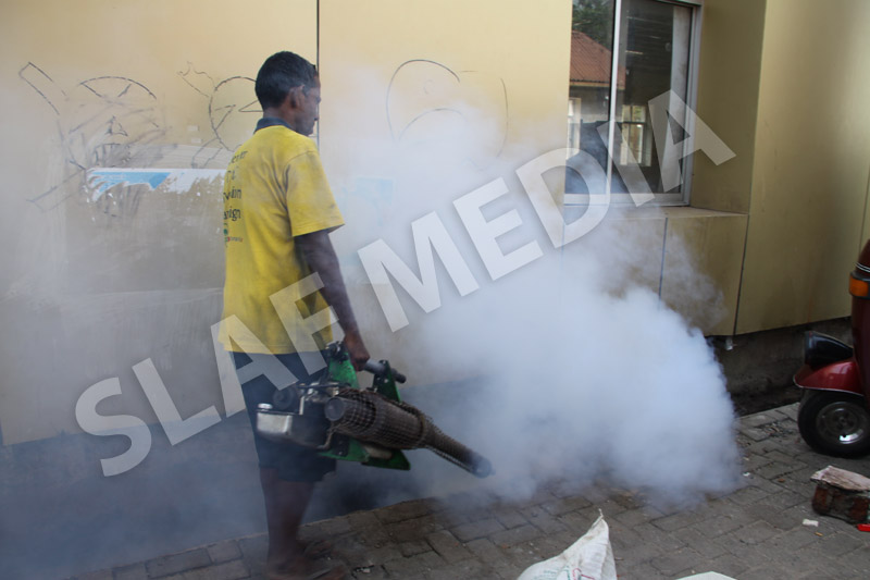 Dengue Prevention Campaign In Slave Island
