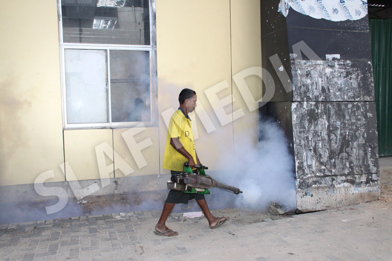 Dengue Prevention Campaign In Slave Island