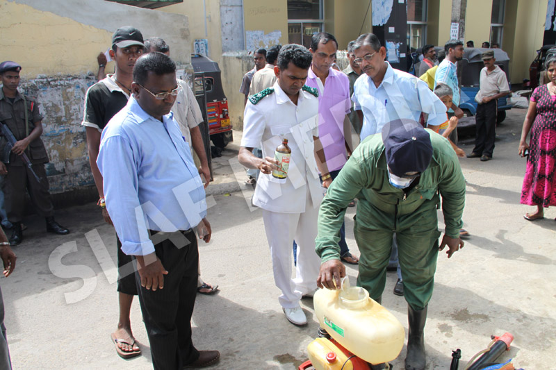 Dengue Prevention Campaign In Slave Island